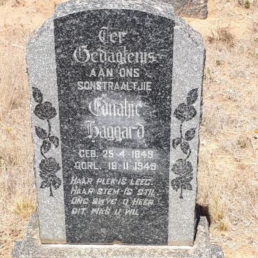 HAGGARD Ednatjie 1849-1948