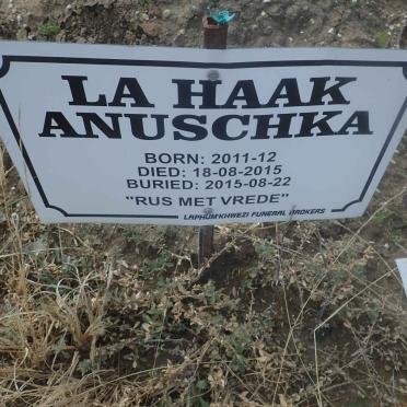 HAAK Anuschka, la 2011-2015