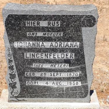 LINGENFELDER Johanna Adriana nee NESER 1870-1950