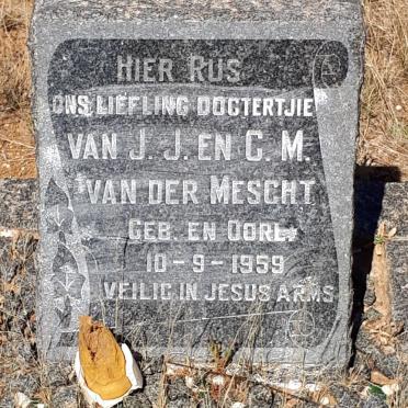 MESCHT, van der 1959-1959