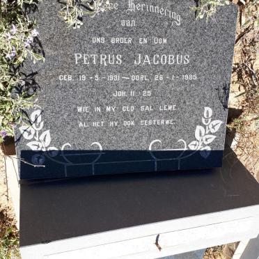 PIENAAR Petrus Jacobus 1931-1985