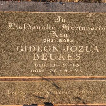 BEUKES Gideon Jozua 1965-1965