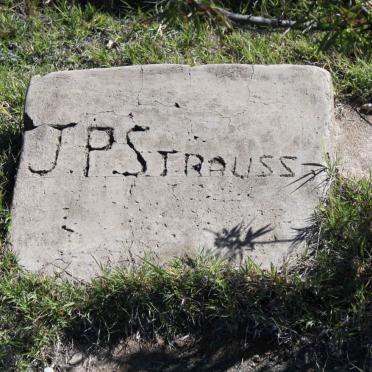 STRAUSS J.P.