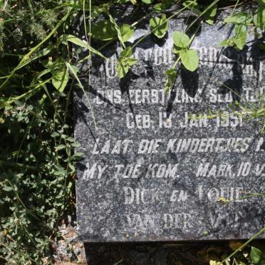 WALT  ?,  van der 1951-