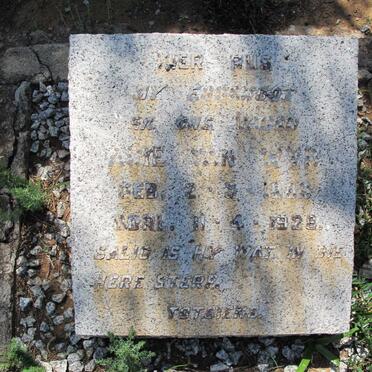 WYK Arie, van 1883-1928