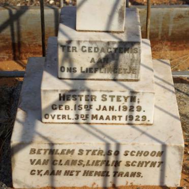 STEYN Hester 1929-1929