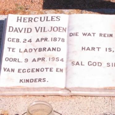 VILJOEN Hercules David 1878-1954