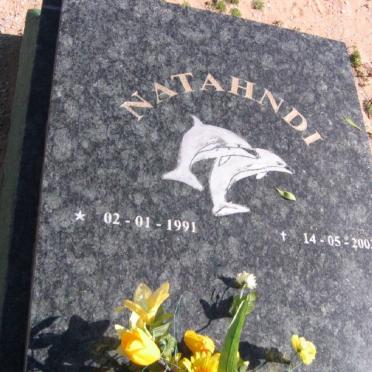 ? Natahndi 1991-2003