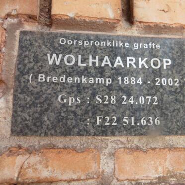 3. Overview / Oorsig - Wolhaarkop, oorspronklike BREDENKAMP grafte