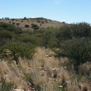 1. Overview on the gravesite