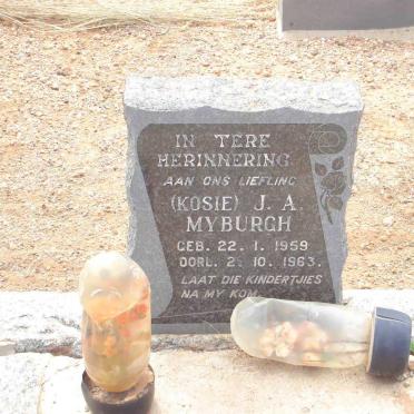 MYBURGH J.A. 1959-1963
