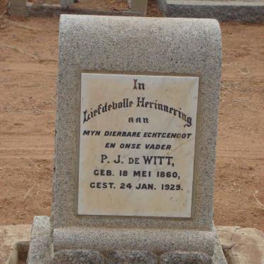 WITT P.J., de  1860-1929