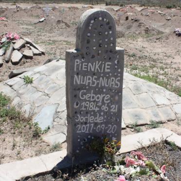 NURS Pienkie, NURS 1984-2011