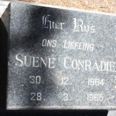 CONRADIE Suene 1964-1965