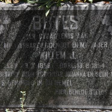 BOTES Willem J. 18?6-1954