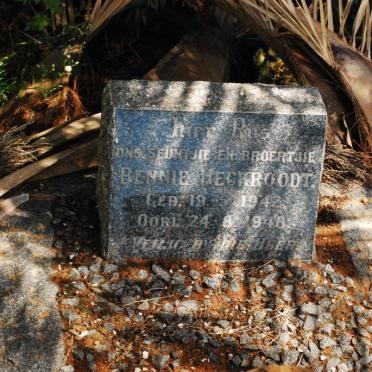 HECKROODT Bennie 1942-1948