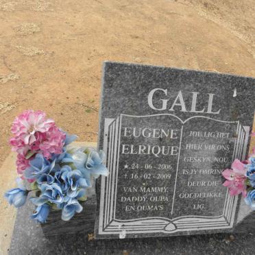 GALL Eugene Elrique 2006-2009