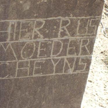 HEYNS C.