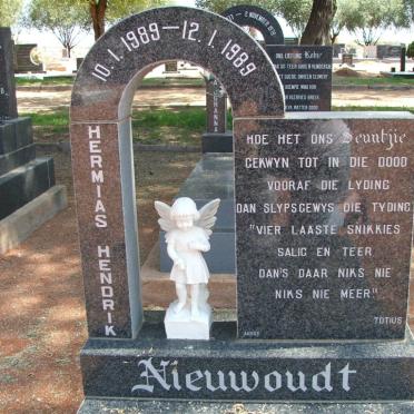 NIEWOUDT Hermias Hendrik 1989-1989