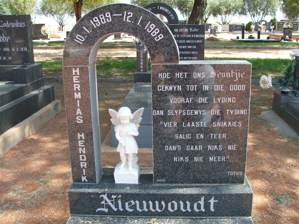 NIEWOUDT Hermias Hendrik 1989-1989