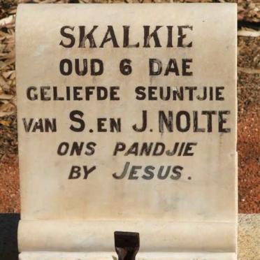 NOLTE Skalkie