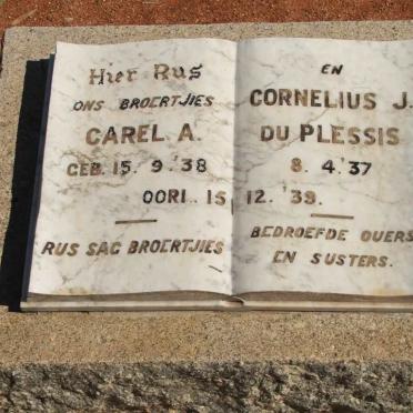 PLESSIS Carel A., du 1938-1939 :: PLESSIS Cornelius J., du 1937-1939