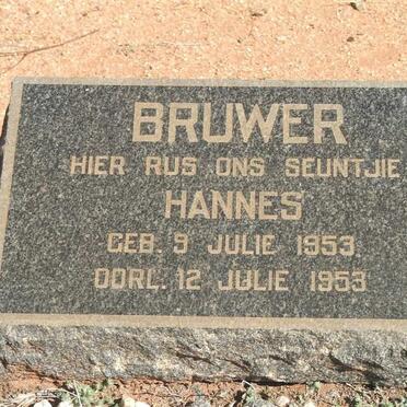 BRUWER Hannes 1953-1953