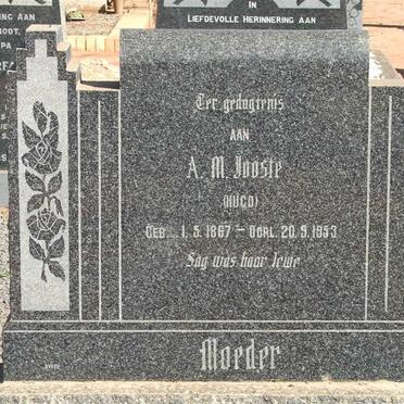JOOSTE A.M. nee HUGO 1867-1953