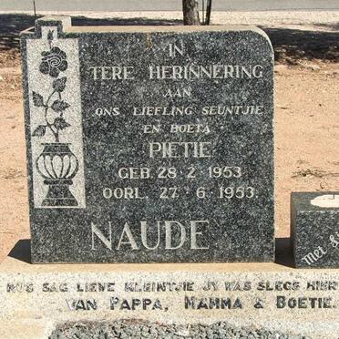 NAUDE Pietie 1953-1953