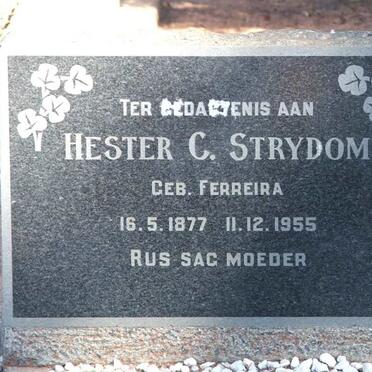STRYDOM Hester C. nee FERREIRA 1877-1955