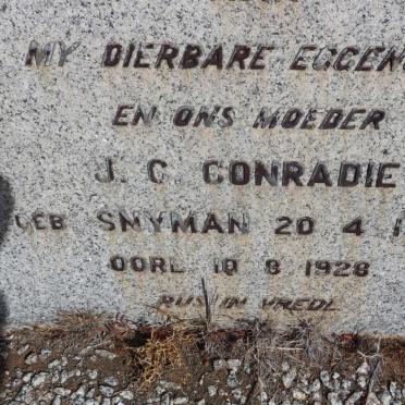CONRADIE J.C. 1904-1928