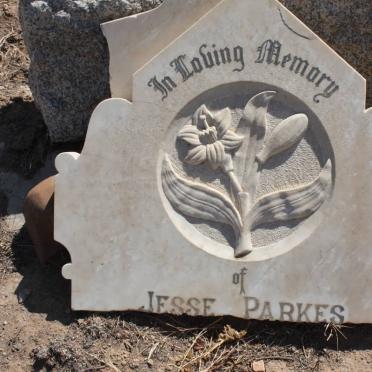 PARKES Jesse -1912