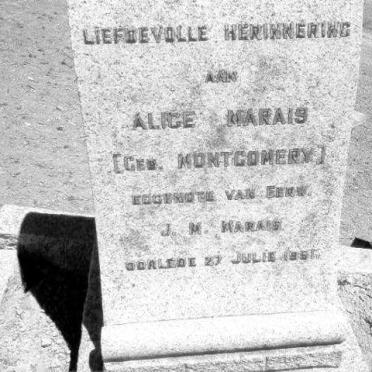 MARAIS Alice nee MONTGOMERY -1951