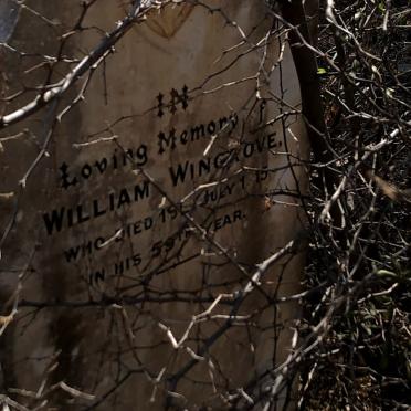 WINGROVE William -1915