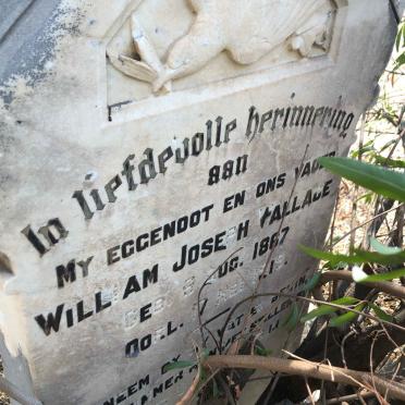 WALLACE William Joseph 1867-1919