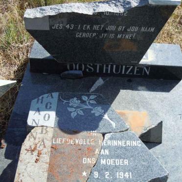OOSTHUIZEN Johanna Jacoba 1941-1982
