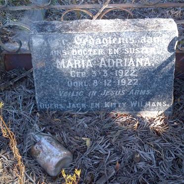 WILMANS Maria Adriana 1922-1922