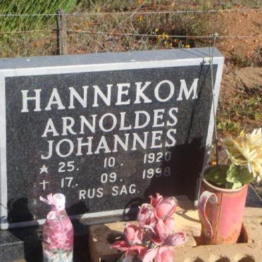 HANNEKOM Arnoldes Johannes 1920-1998