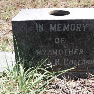 COLLARD Jacoba H.
