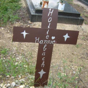 HOLLENBACH Hannie