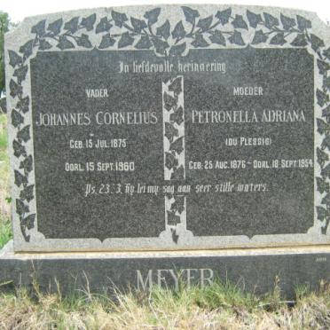 MEYER Johannes Cornelius 1875-1960 &amp; Petronella Adriana DU PLESSIS 1876-1954