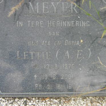 MEYER A.E. 1925-2001