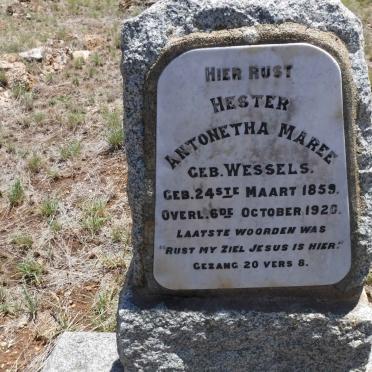 MAREE Hester Antonetha nee WESSELS 1859-1920