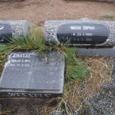 WESSELS Frans Hendrik 1908-1979 &amp; Maria Sophia 1922-1996 :: WESSELS Rinatjie 1947-1951