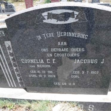 ?BS Jacobus J. 1907- &amp; Cornelia C.E. nee VAN NIEKERK 1911-1963