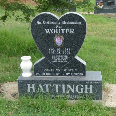 HATTINGH Wouter 1987-2004