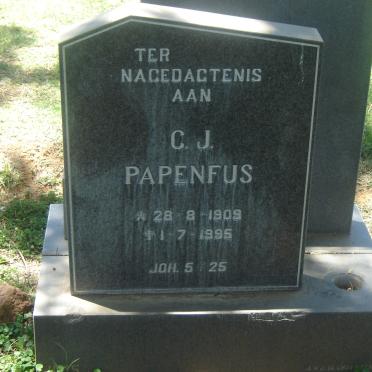 PAPENFUS C.J. 1909-1995