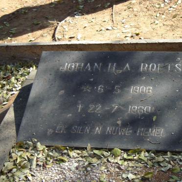ROETS Johan H A