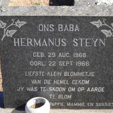 STEYN Hermanus 1966-1966