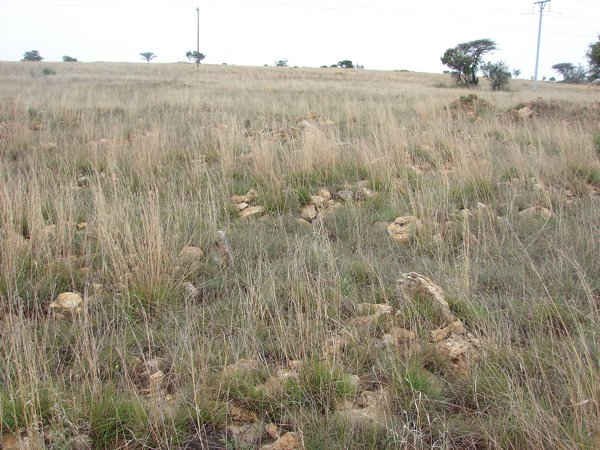 3. Overview of cemetery